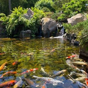 Meet your Posher, Amie